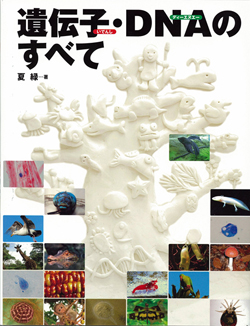 遺伝子・DNAのすべて (単行本図書) ：夏緑／ちくやまきよし
