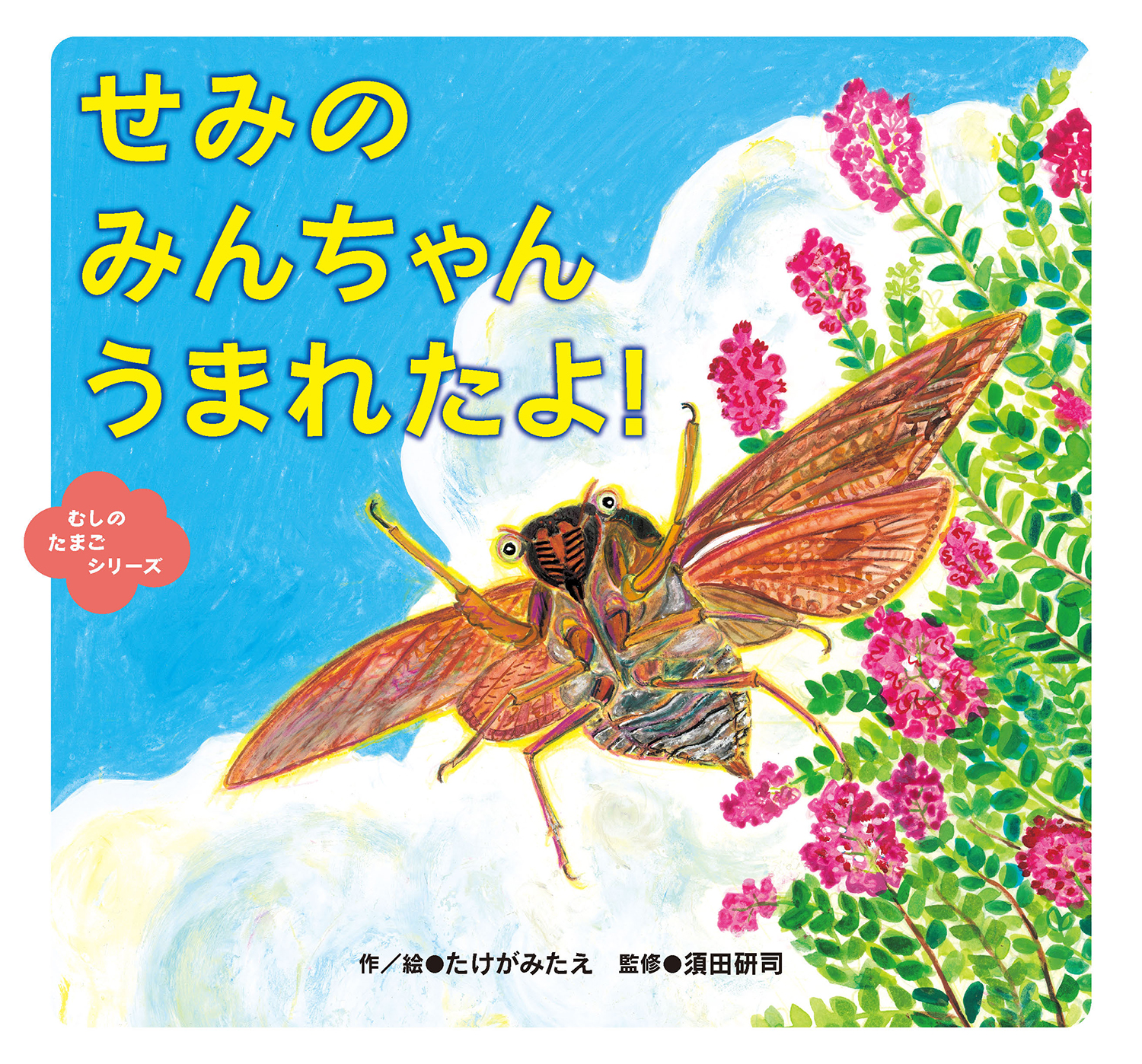 せみの　みんちゃん　うまれたよ！