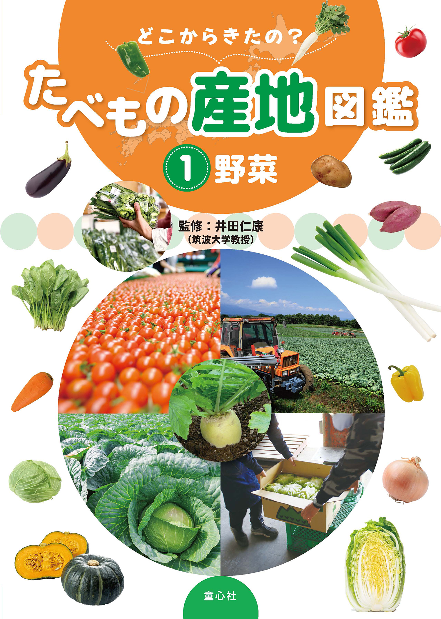 ①野菜 (どこからきたの？ たべもの産地図鑑) ：井田仁康／グループ