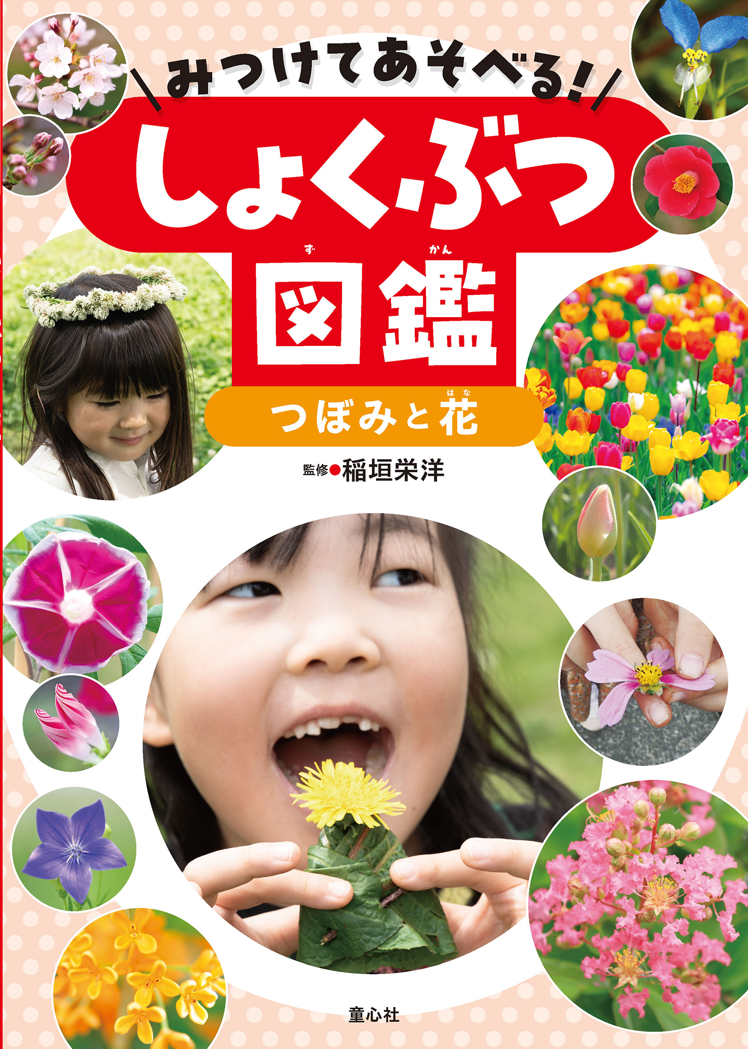 みつけてあそべる！しょくぶつ図鑑 つぼみと花 (みつけてあそべる