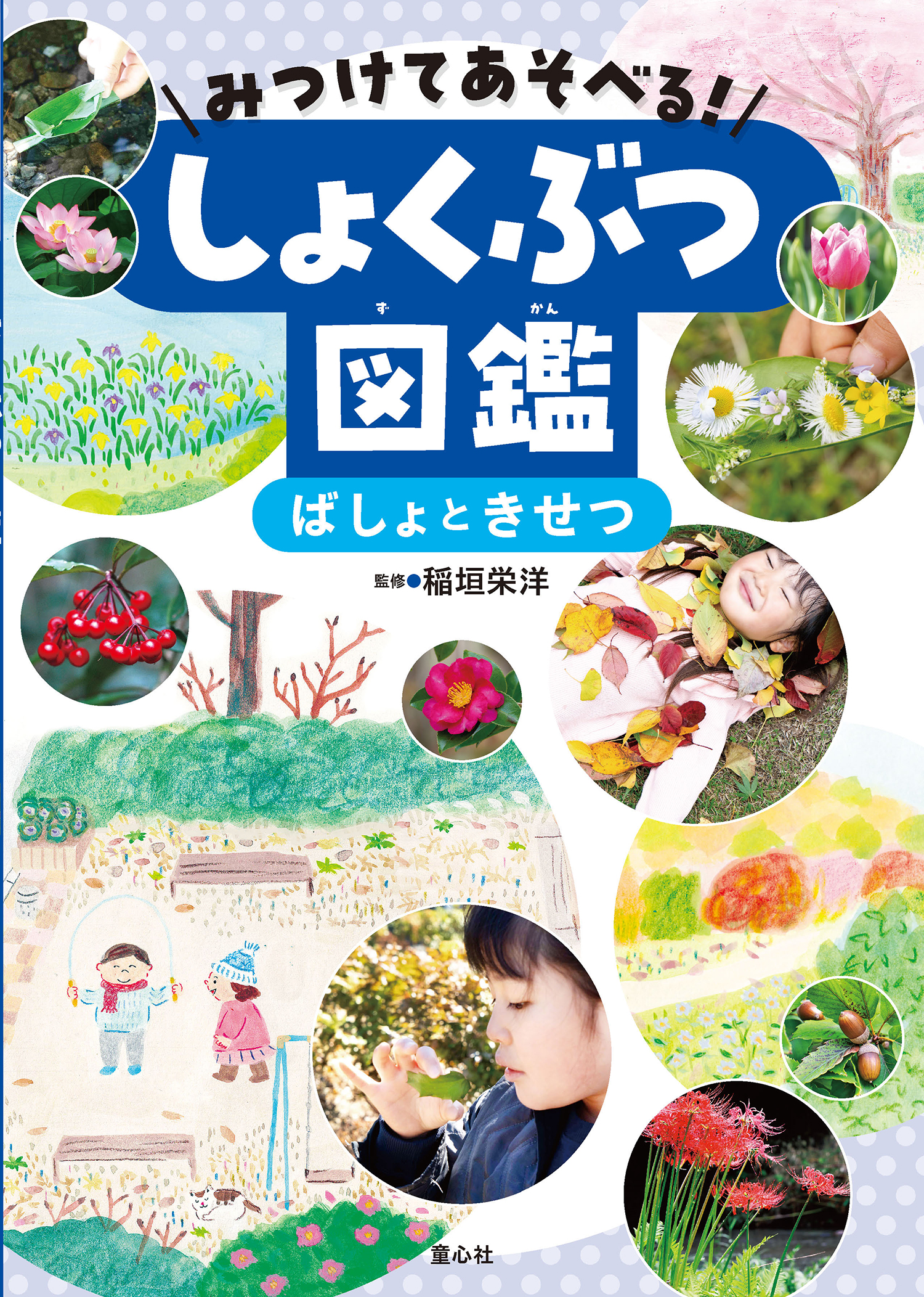みつけてあそべる！しょくぶつ図鑑 ばしょときせつ (みつけてあそべる