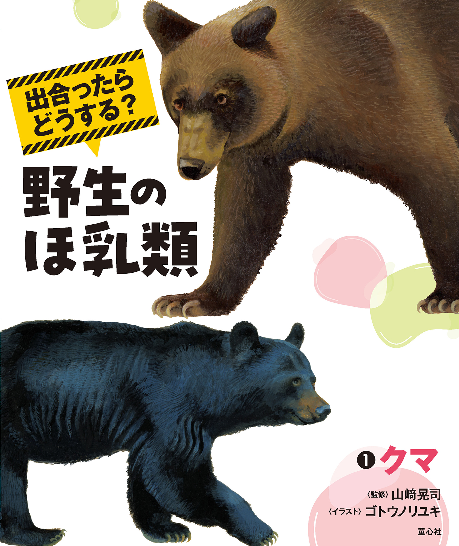 ①クマ (出合ったらどうする？ 野生のほ乳類（全3巻）) ：山﨑晃司