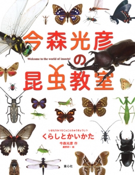 今森光彦の昆虫教室 くらしとかいかた