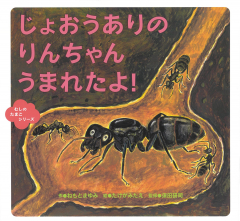 じょおうありの　りんちゃん　うまれたよ！