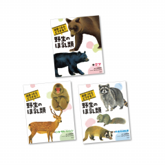 出合ったらどうする？　野生のほ乳類（全３巻）