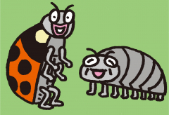 むし どっちがどっち?