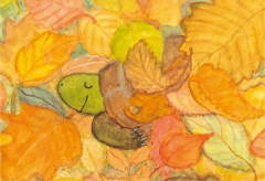 かめのトマちゃんのふゆやすみ