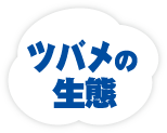 2017年6月号の雲