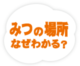 2017年7月号の雲