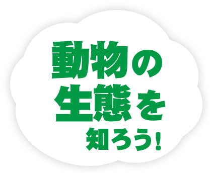 2018年7月号の雲