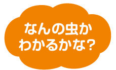 2023年7月号の雲