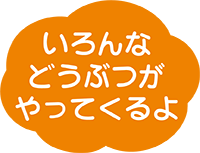 2023年10月号の雲