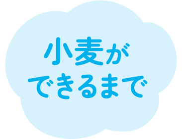 2024年3月号の雲