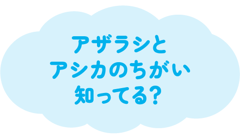 2024年6月号の雲