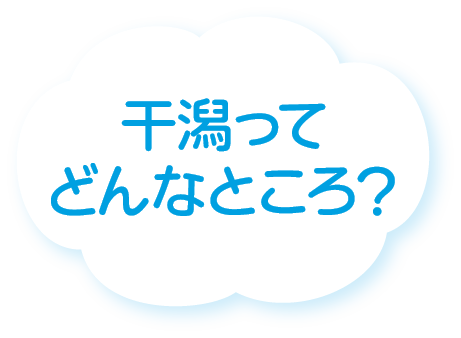 2026年3月号の雲