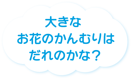 2026年5月号の雲