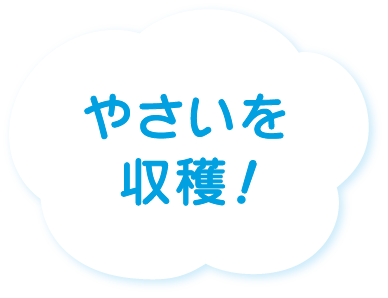 2026年7月号の雲
