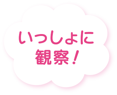 2026年12月号の雲