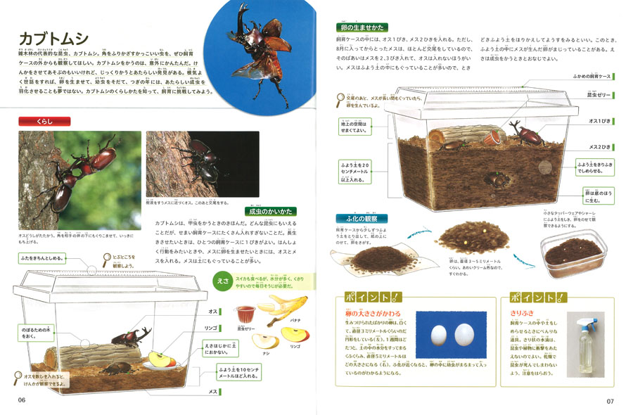 今森光彦の昆虫教室 くらしとかいかた (今森光彦の昆虫教室) ：今森光彦／廣野研一 - 童心社