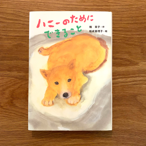 おすすめ 本 感想 文 読書